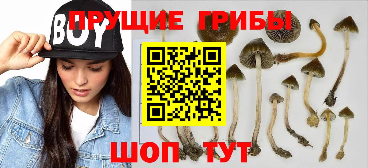 Каннабис  Полысаево  МЕФ кристаллы  Вход с VPN  Меф  ГАШИШ  MDMA  КОКАИН  АМФ кристаллы 