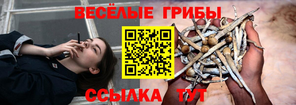Галлюциногенные грибы MAGIC MUSHROOMS Полысаево