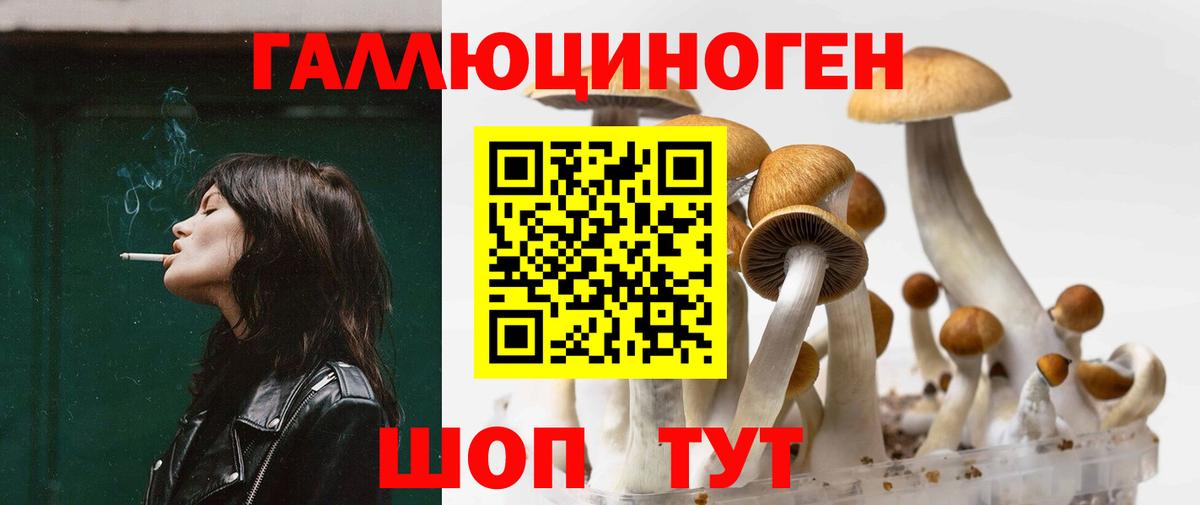 Галлюциногенные грибы GOLDEN TEACHER  Вход с VPN  Полысаево 